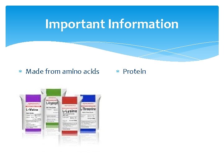 Important Information Made from amino acids Protein 