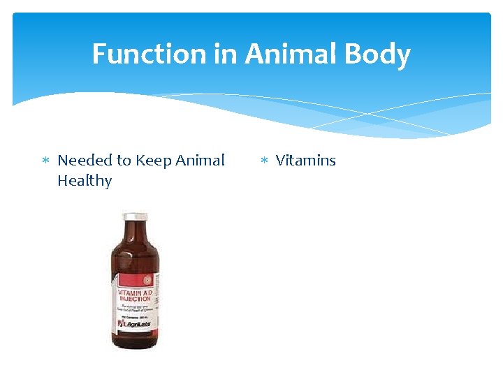 Function in Animal Body Needed to Keep Animal Healthy Vitamins 