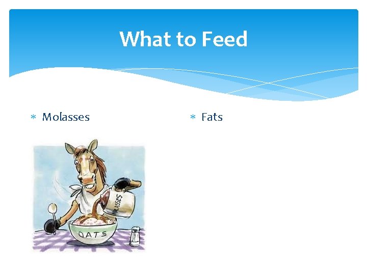 What to Feed Molasses Fats 