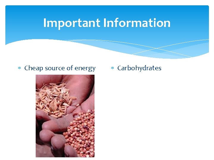 Important Information Cheap source of energy Carbohydrates 