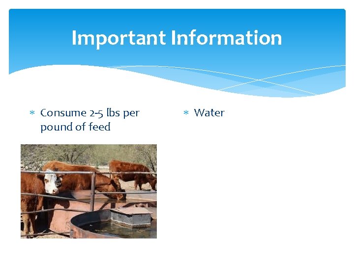 Important Information Consume 2 -5 lbs per pound of feed Water 