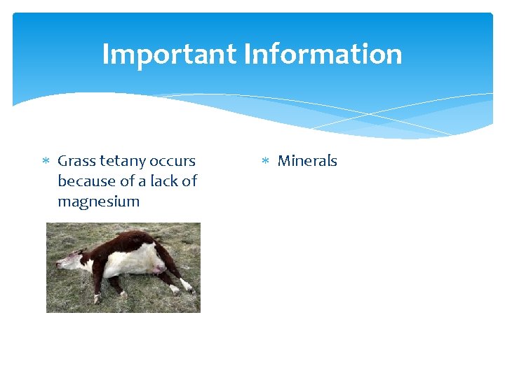 Important Information Grass tetany occurs because of a lack of magnesium Minerals 