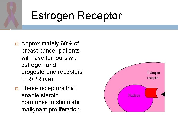 Estrogen Receptor Approximately 60% of breast cancer patients will have tumours with estrogen and