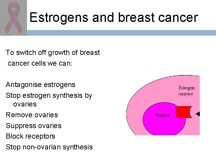 Estrogens and breast cancer To switch off growth of breast cancer cells we can: