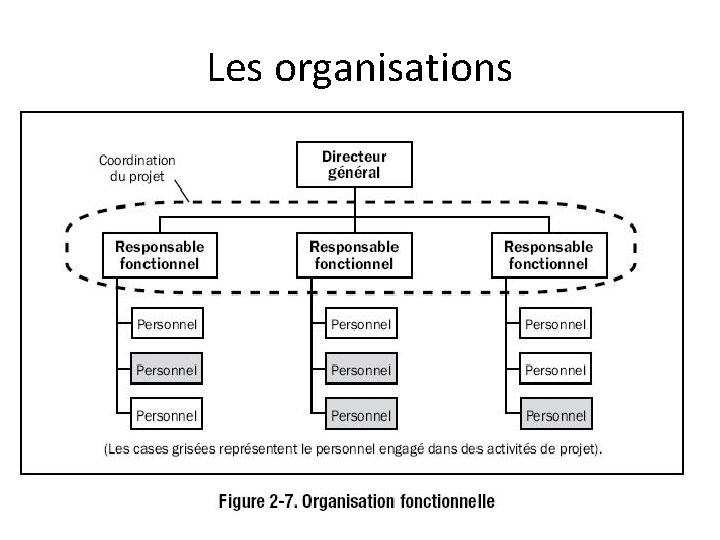 Les organisations 