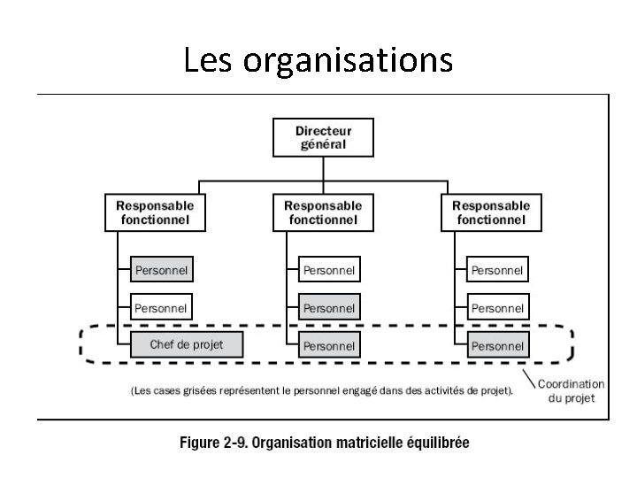 Les organisations 