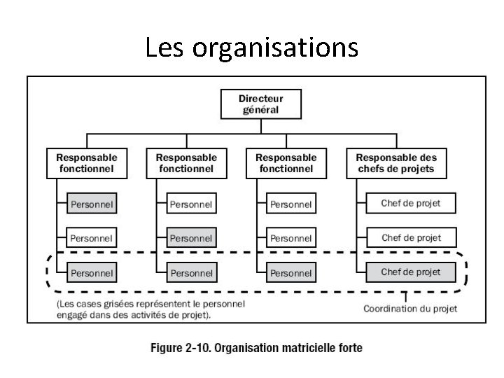 Les organisations 