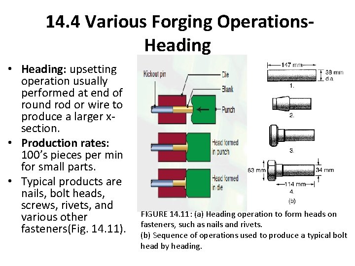 14. 4 Various Forging Operations. Heading • Heading: upsetting operation usually performed at end
