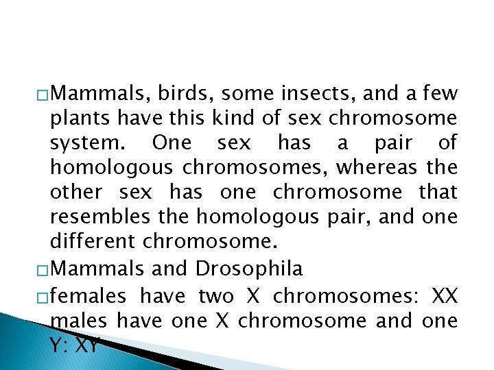 �Mammals, birds, some insects, and a few plants have this kind of sex chromosome