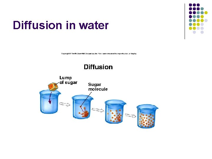Crossing Membranes 1 Passive Processes Book Reference p