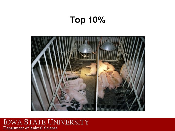 Top 10% IOWA STATE UNIVERSITY Department of Animal Science 