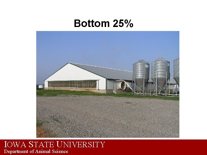 Bottom 25% IOWA STATE UNIVERSITY Department of Animal Science 