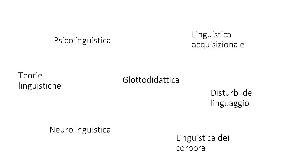 Linguistica acquisizionale Psicolinguistica Teorie linguistiche Neurolinguistica Glottodidattica Disturbi del linguaggio Linguistica dei corpora 