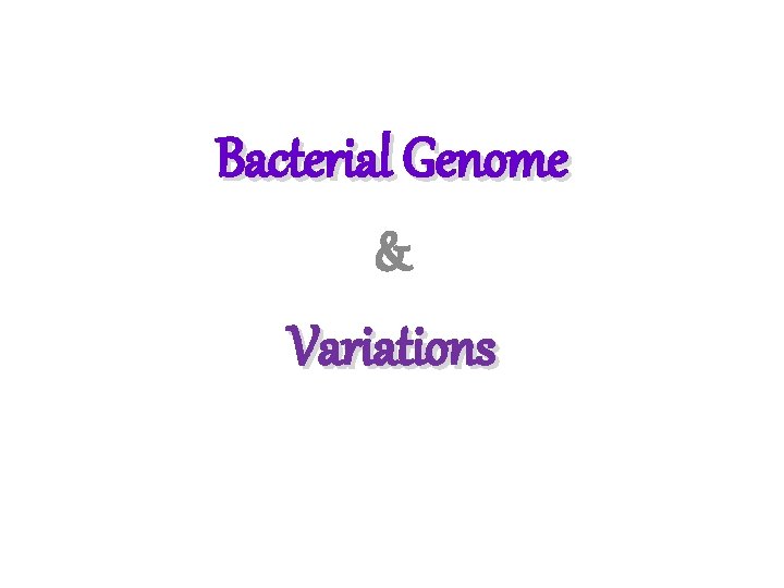 Bacterial Genome & Variations 