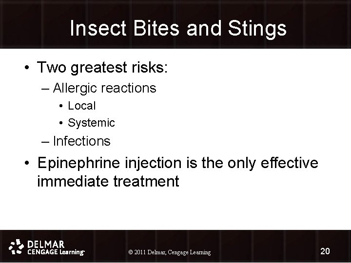 Insect Bites and Stings • Two greatest risks: – Allergic reactions • Local •