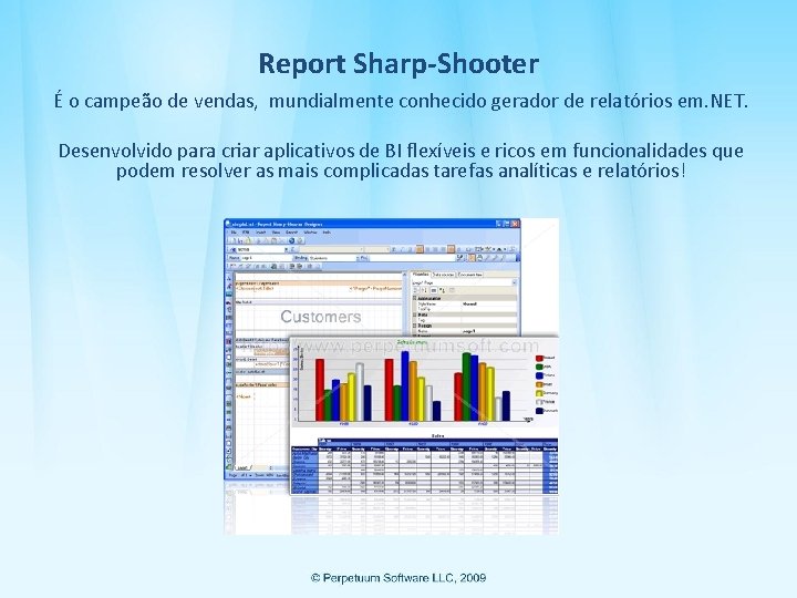 Report Sharp-Shooter É o campeão de vendas, mundialmente conhecido gerador de relatórios em. NET.