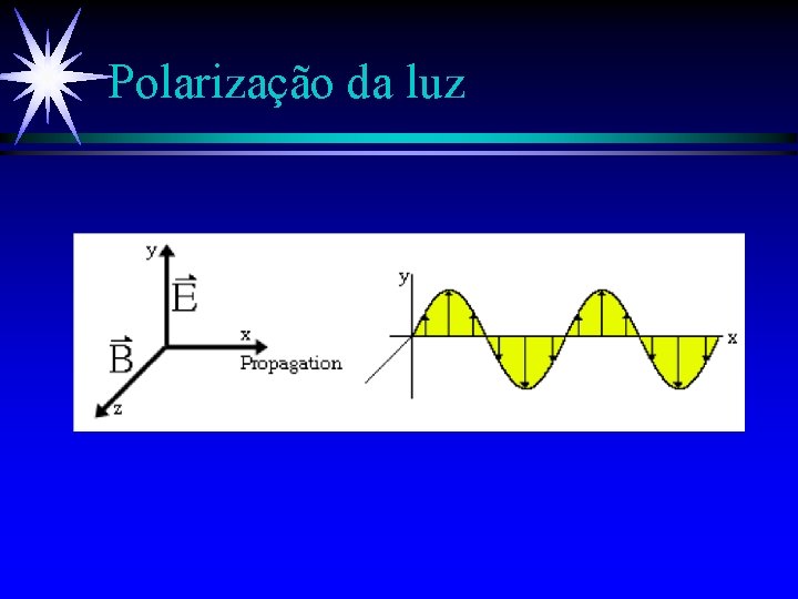 Polarização da luz 