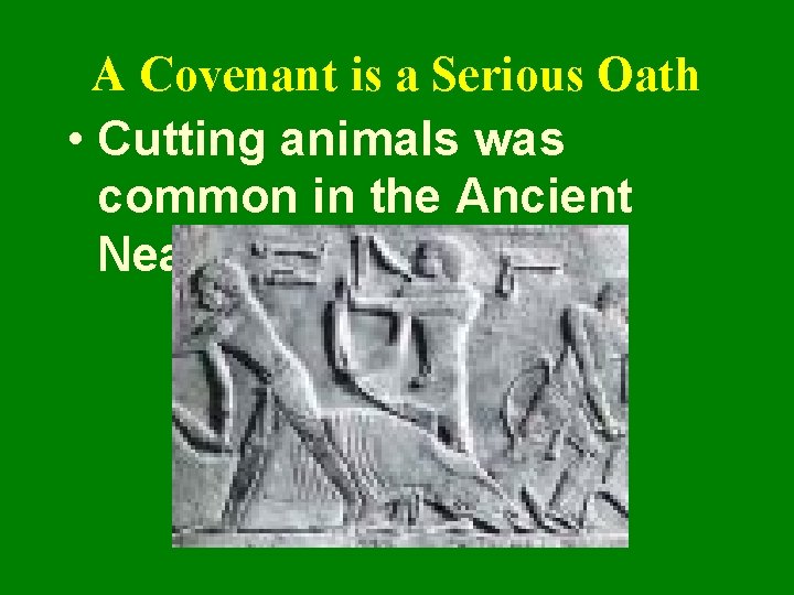 A Covenant is a Serious Oath • Cutting animals was common in the Ancient