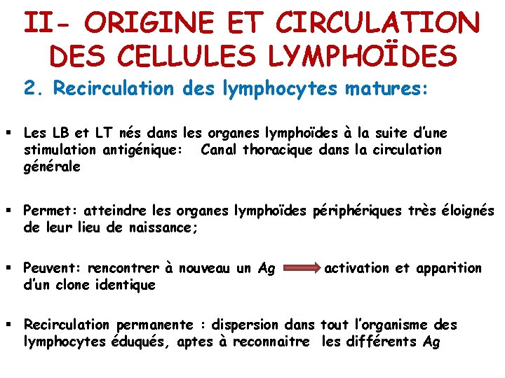 II- ORIGINE ET CIRCULATION DES CELLULES LYMPHOÏDES 2. Recirculation des lymphocytes matures: § Les