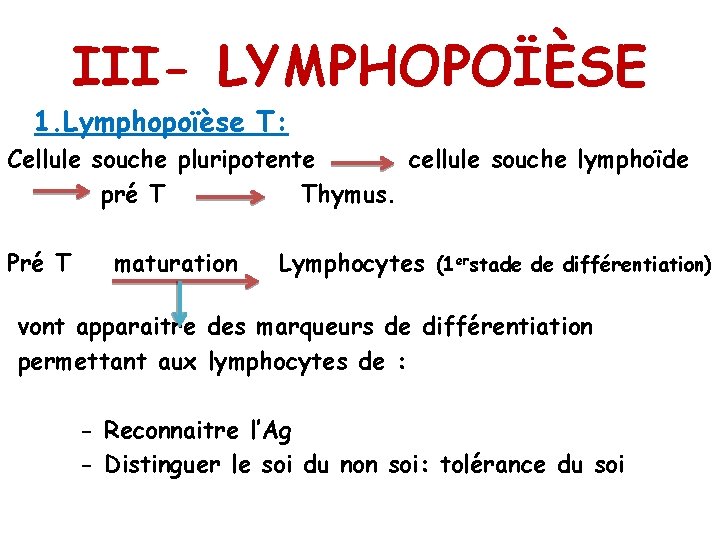 III- LYMPHOPOÏÈSE 1. Lymphopoïèse T: Cellule souche pluripotente cellule souche lymphoïde pré T Thymus.