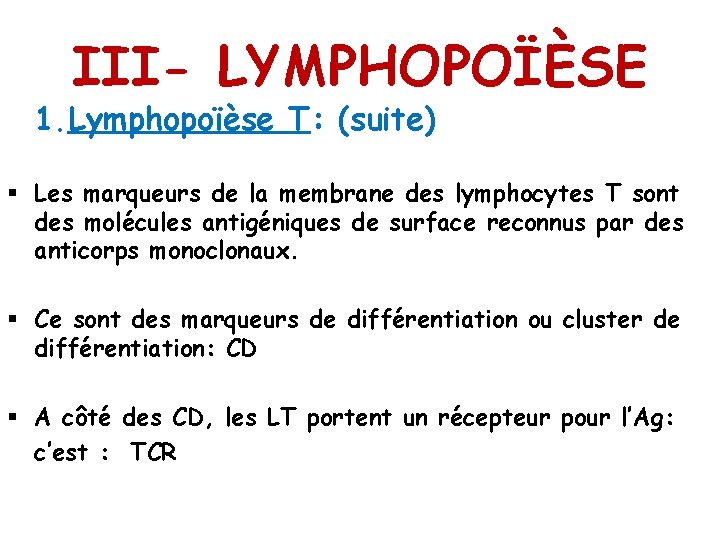 III- LYMPHOPOÏÈSE 1. Lymphopoïèse T: (suite) § Les marqueurs de la membrane des lymphocytes