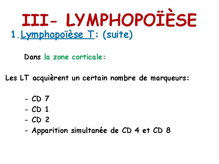 III- LYMPHOPOÏÈSE 1. Lymphopoïèse T: (suite) Dans la zone corticale: Les LT acquièrent un