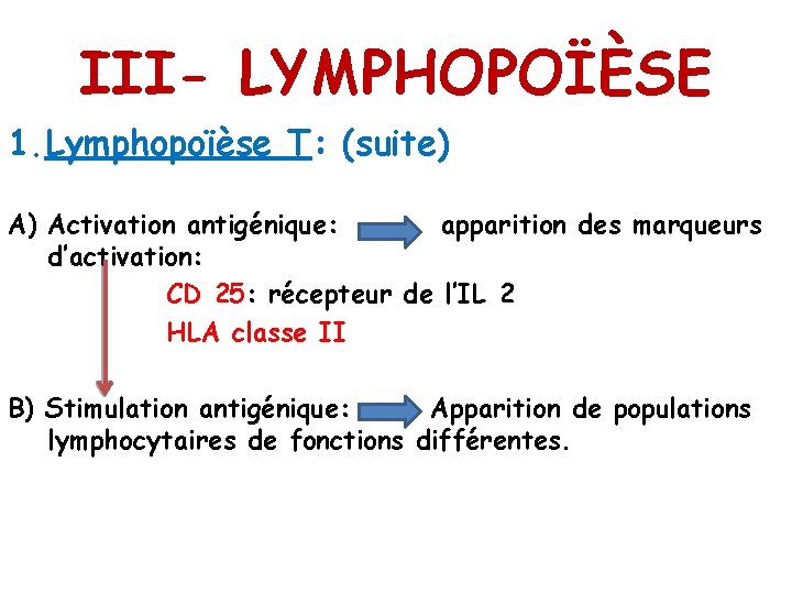 III- LYMPHOPOÏÈSE 1. Lymphopoïèse T: (suite) A) Activation antigénique: apparition des marqueurs d’activation: CD