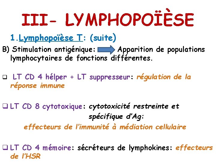 III- LYMPHOPOÏÈSE 1. Lymphopoïèse T: (suite) B) Stimulation antigénique: Apparition de populations lymphocytaires de