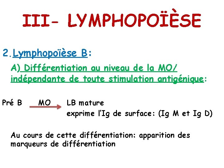 III- LYMPHOPOÏÈSE 2. Lymphopoïèse B: A) Différentiation au niveau de la MO/ indépendante de