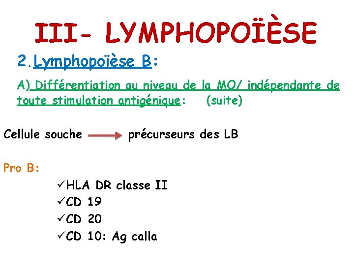 III- LYMPHOPOÏÈSE 2. Lymphopoïèse B: A) Différentiation au niveau de la MO/ indépendante de III- LYMPHOPOÏÈSE 2. Lymphopoïèse B: A) Différentiation au niveau de la MO/ indépendante de