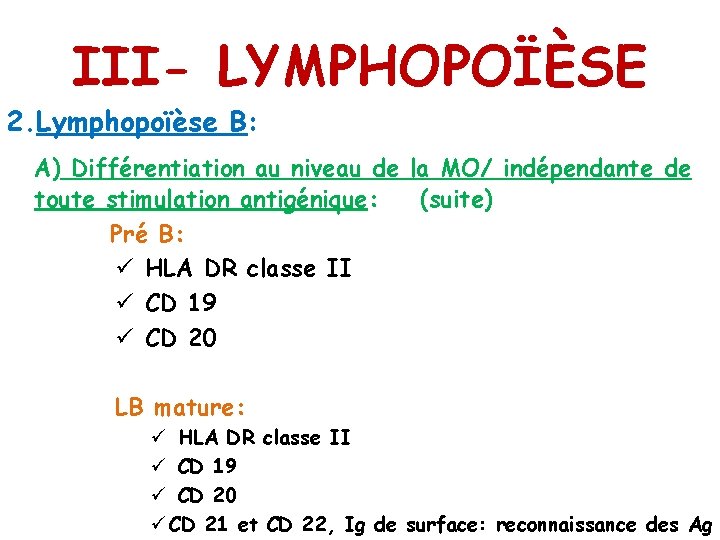 III- LYMPHOPOÏÈSE 2. Lymphopoïèse B: A) Différentiation au niveau de la MO/ indépendante de