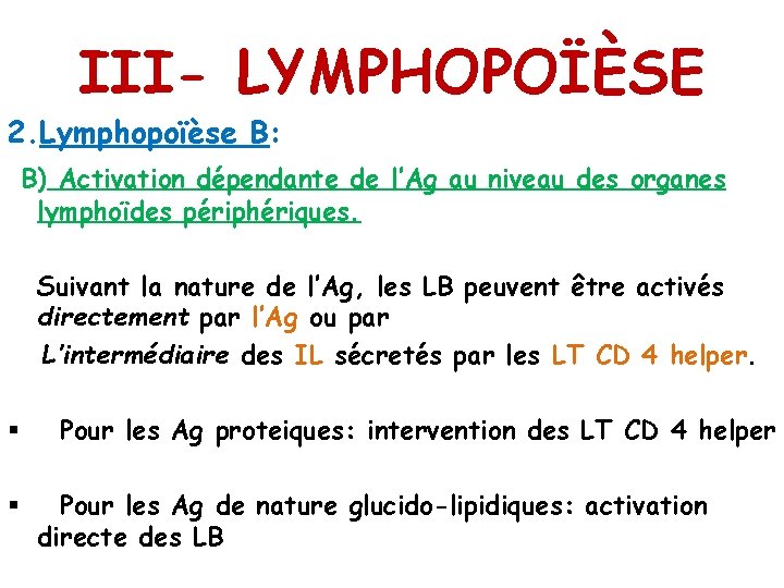 III- LYMPHOPOÏÈSE 2. Lymphopoïèse B: B) Activation dépendante de l’Ag au niveau des organes