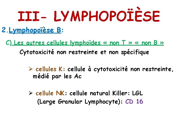 III- LYMPHOPOÏÈSE 2. Lymphopoïèse B: C) Les autres cellules lymphoïdes « non T »