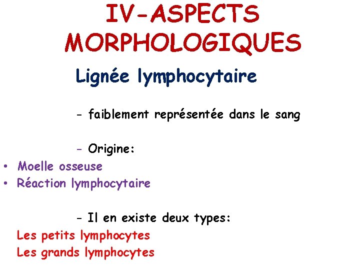 IV-ASPECTS MORPHOLOGIQUES Lignée lymphocytaire - faiblement représentée dans le sang - Origine: • Moelle