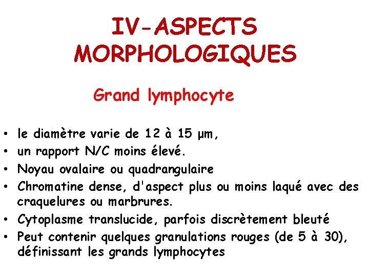 IV-ASPECTS MORPHOLOGIQUES Grand lymphocyte le diamètre varie de 12 à 15 μm, un rapport