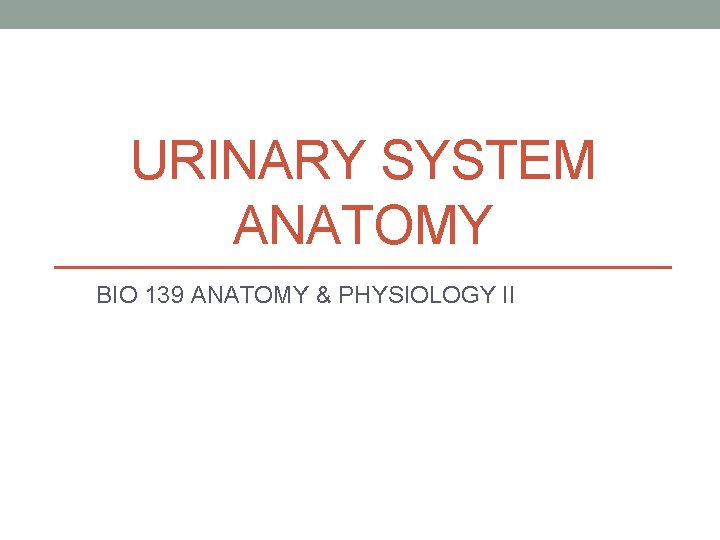 URINARY SYSTEM ANATOMY BIO 139 ANATOMY & PHYSIOLOGY II 