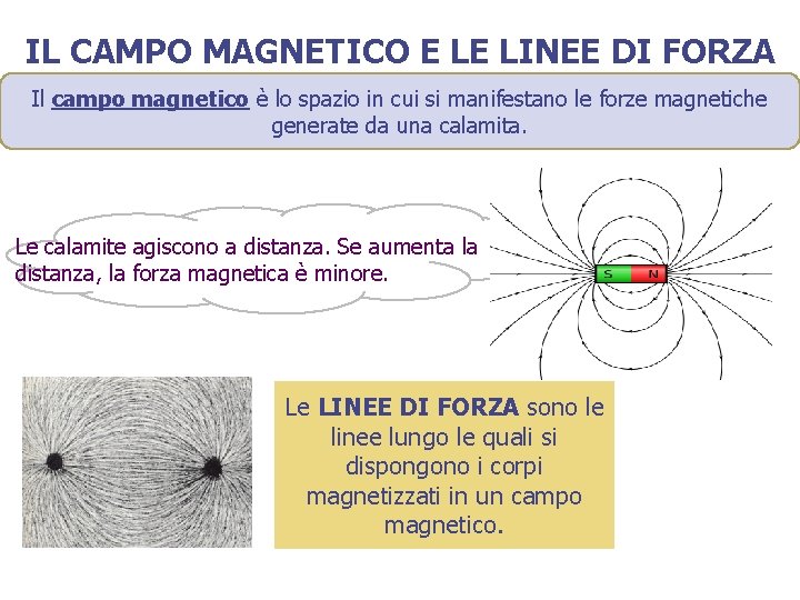 IL CAMPO MAGNETICO E LE LINEE DI FORZA Il campo magnetico è lo spazio