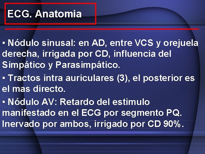 ECG. Anatomia • Nódulo sinusal: en AD, entre VCS y orejuela derecha, irrigada por