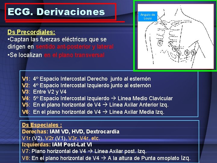 ECG. Derivaciones Ángulo de Louis Ds Precordiales: • Captan las fuerzas eléctricas que se