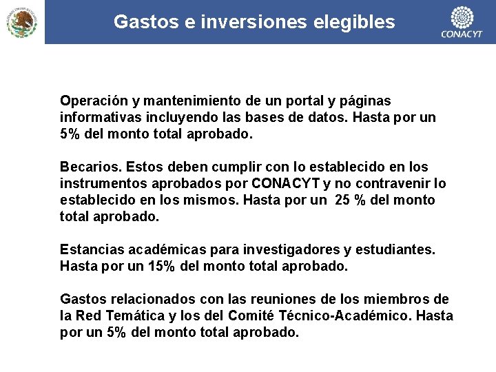 Gastos e inversiones elegibles Operación y mantenimiento de un portal y páginas informativas incluyendo