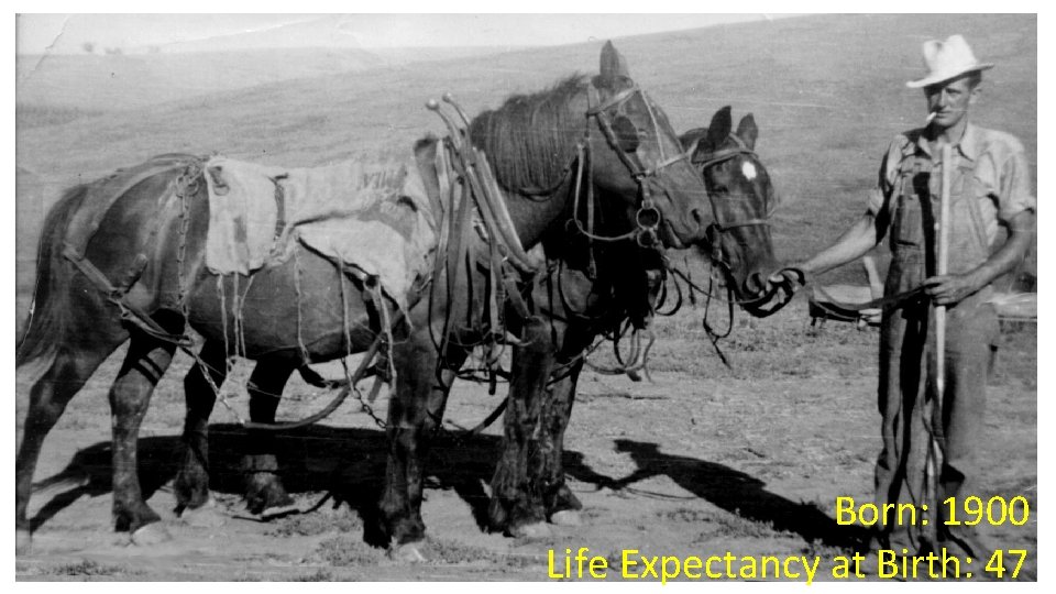 Born: 1900 Life Expectancy at Birth: 47 Born: 1900 Life Expectancy at Birth: 47