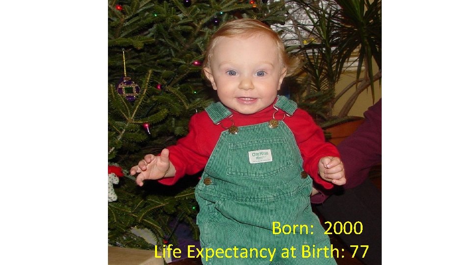 Born: 2000 Life Expectancy at Birth: 77 Born: 2000 Life Expectancy at Birth: 77