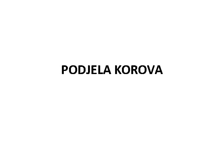 PODJELA KOROVA 