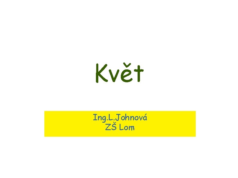 Květ Ing. L. Johnová ZŠ Lom 