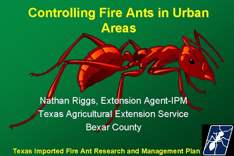 Controlling Fire Ants in Urban Areas Nathan Riggs, Extension Agent-IPM Texas Agricultural Extension Service