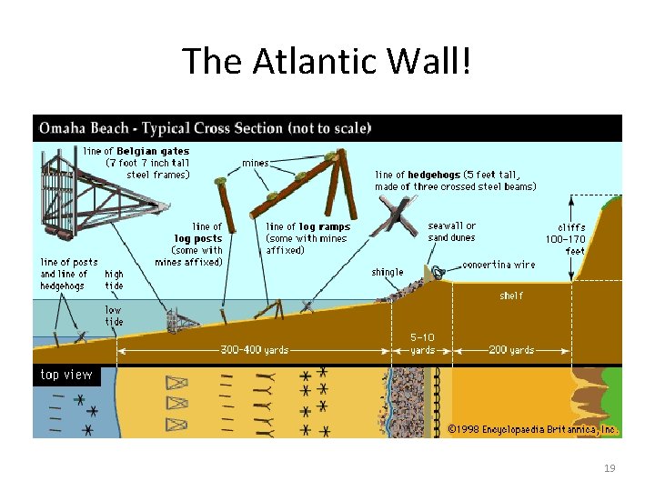 The Atlantic Wall! 19 
