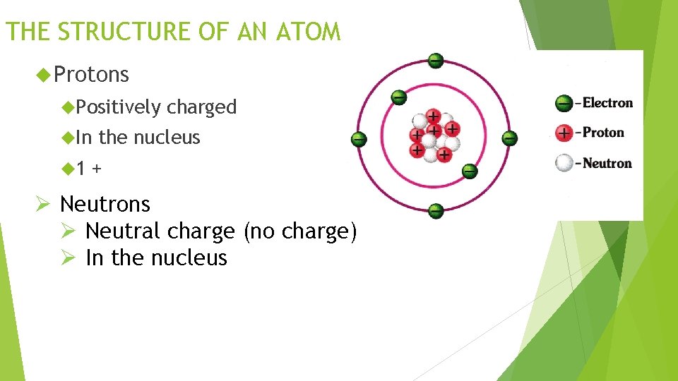 THE STRUCTURE OF AN ATOM Protons Positively In 1 charged the nucleus + Ø