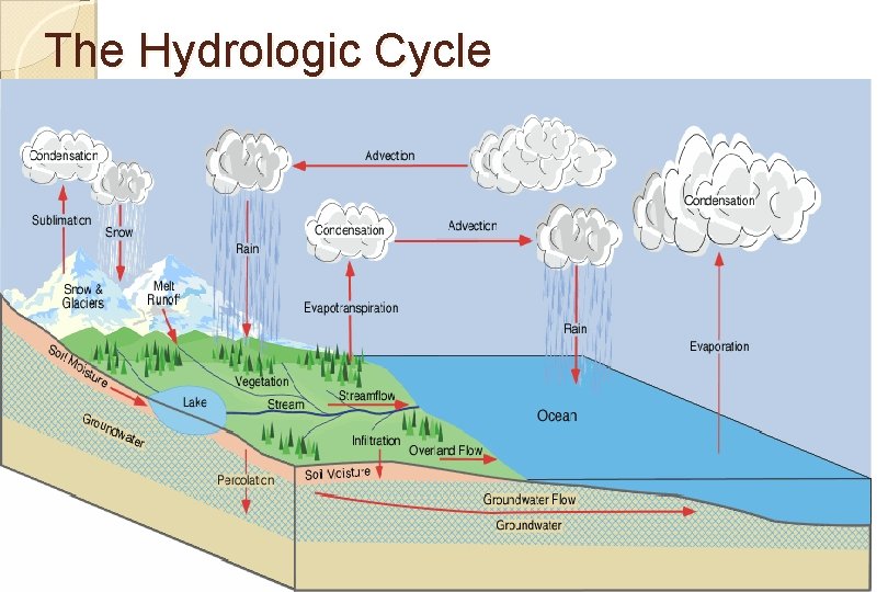 The Hydrologic Cycle 