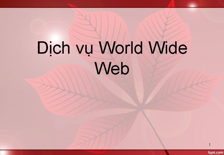 Dịch vụ World Wide Web 1 