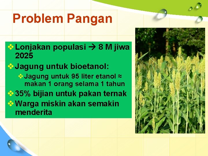 Problem Pangan v Lonjakan populasi 8 M jiwa 2025 v Jagung untuk bioetanol: v.